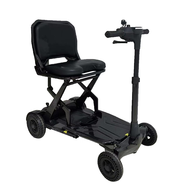 Carbon Fiber Electric Vehicle